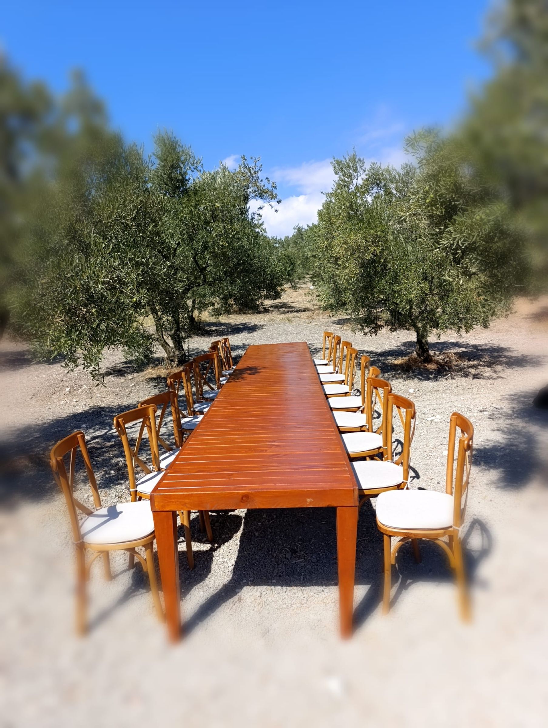 Ahşap Cros Sandalye