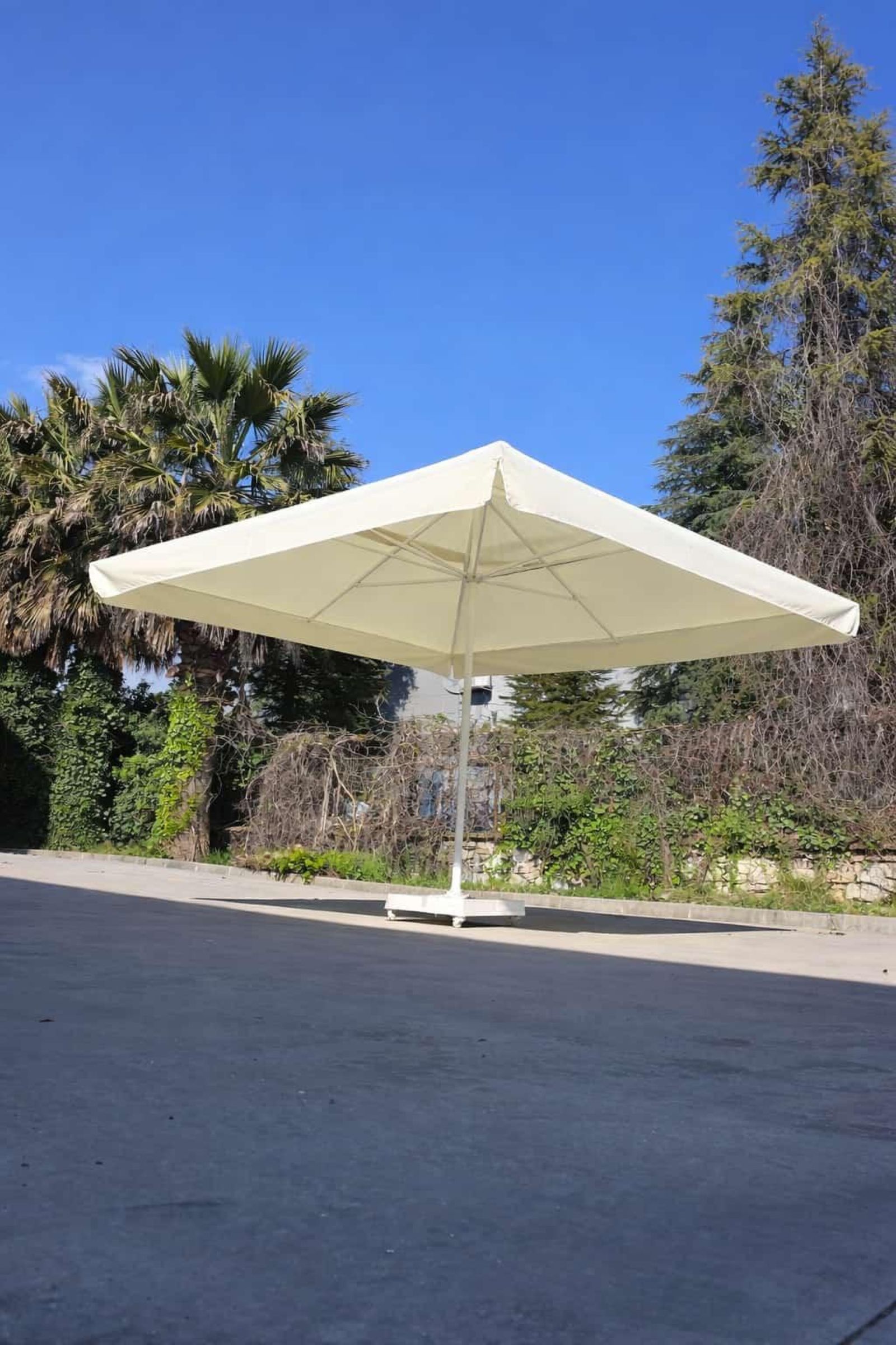 Kare şemsiye